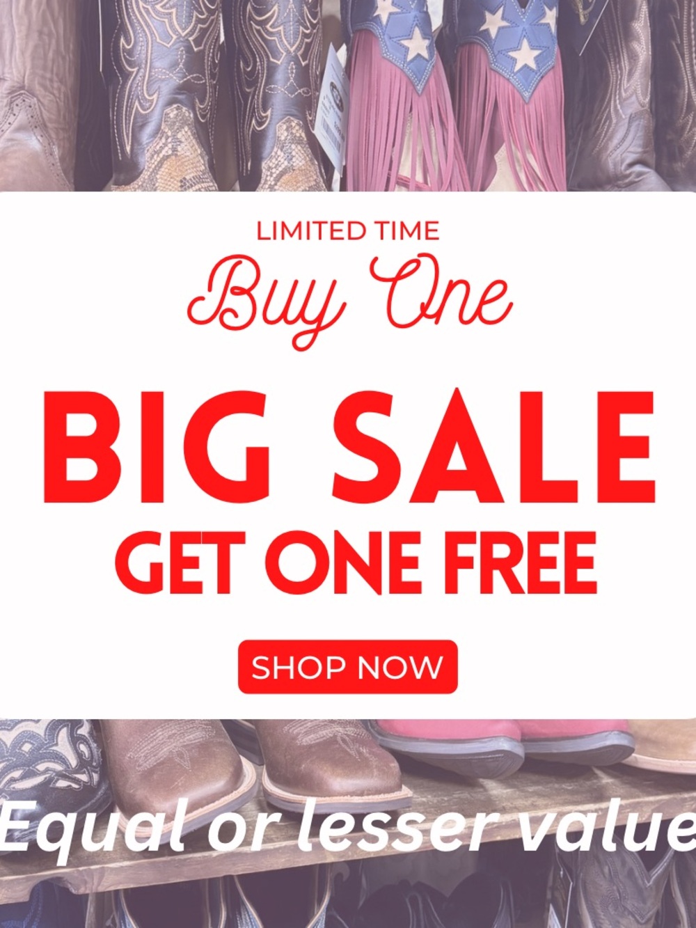 Buy One Get One Free Sale!
Item must be equal or lesser value.